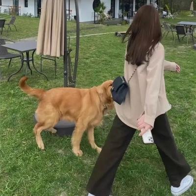 布格迪先生